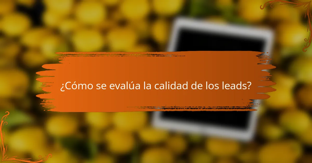 ¿Cómo se evalúa la calidad de los leads?