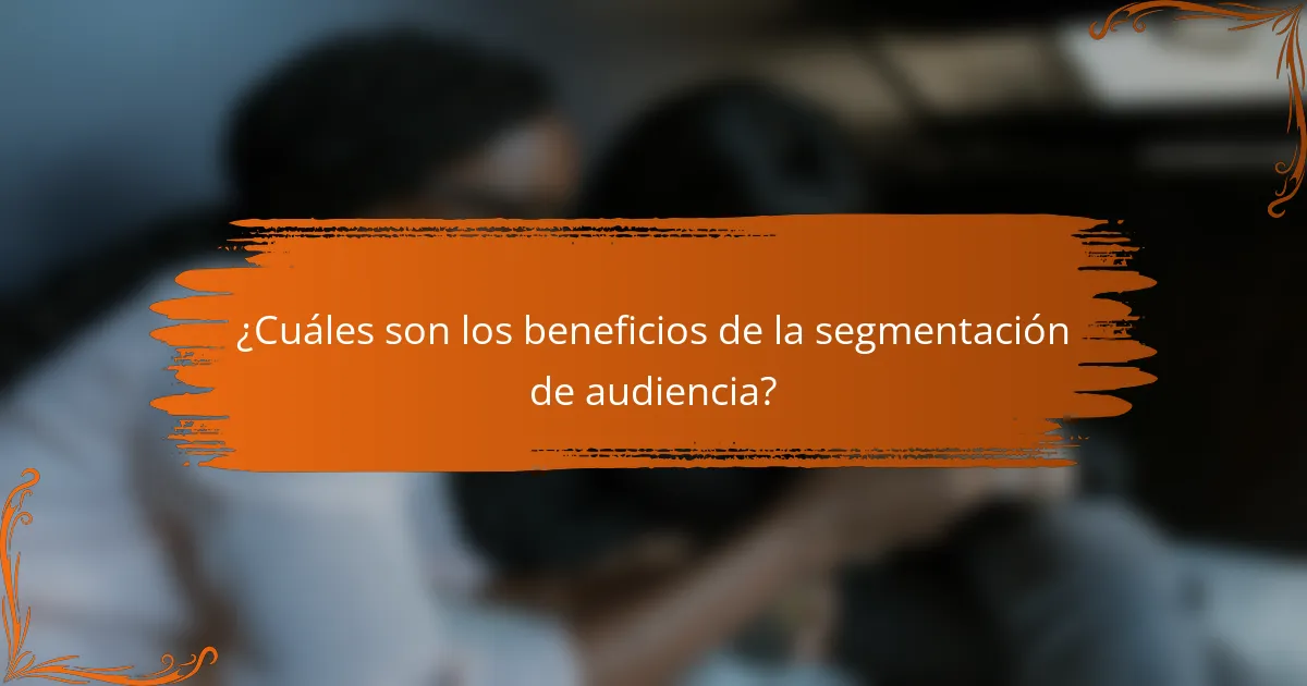 ¿Cuáles son los beneficios de la segmentación de audiencia?