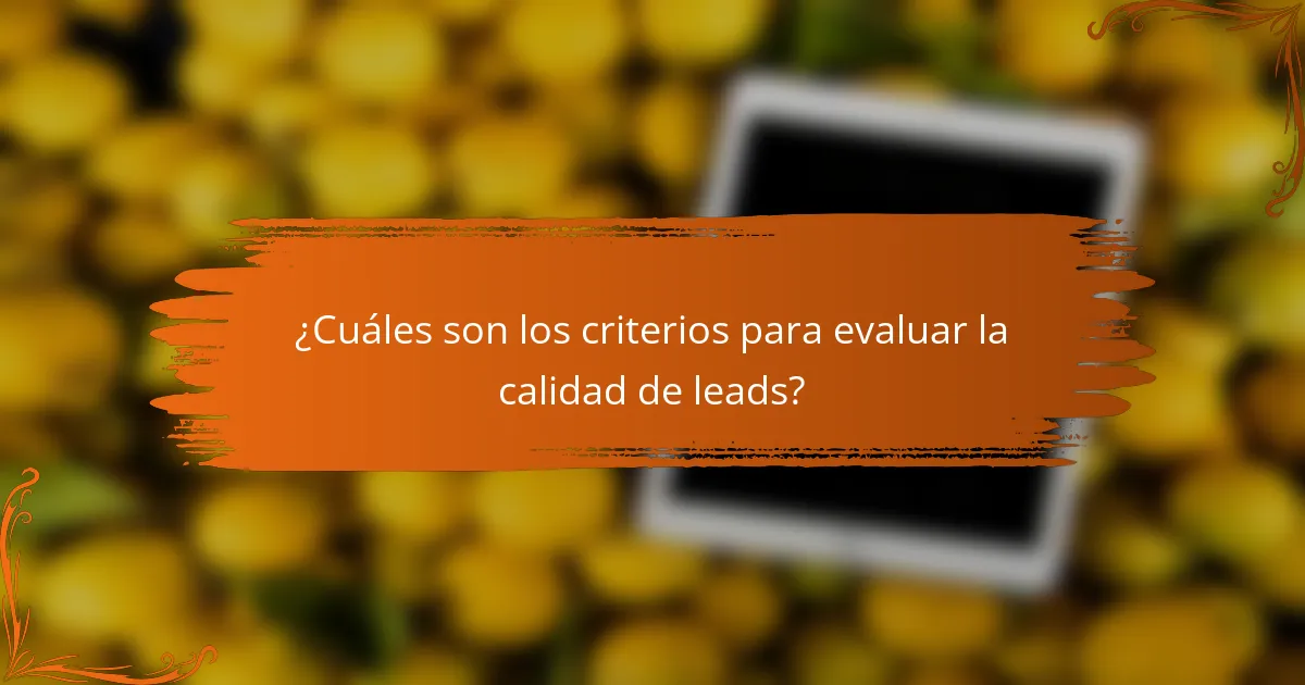 ¿Cuáles son los criterios para evaluar la calidad de leads?