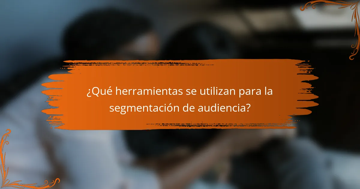¿Qué herramientas se utilizan para la segmentación de audiencia?
